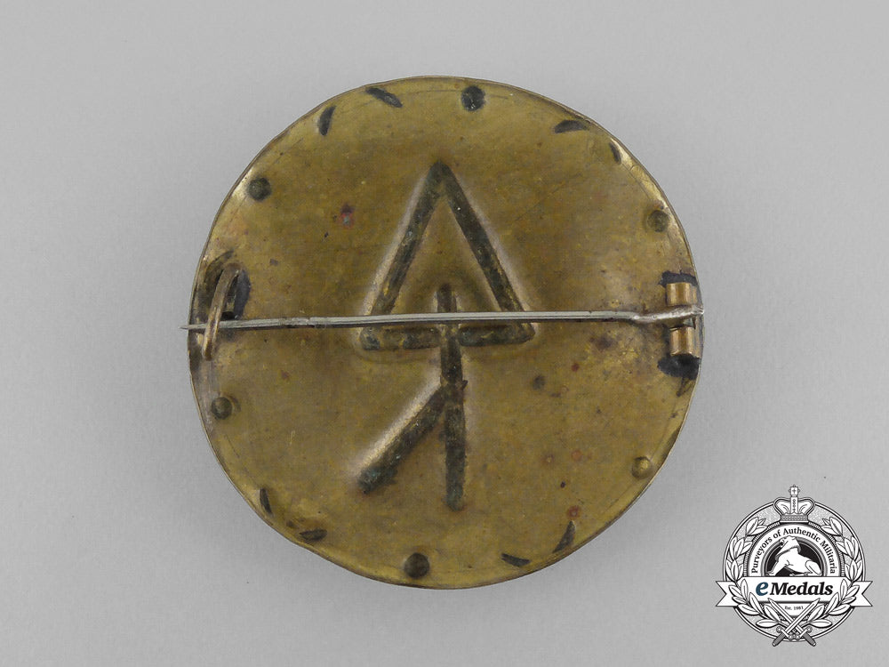 third_reich_period_german“_thorn-_to_protect”_runic_badge_bb_0087
