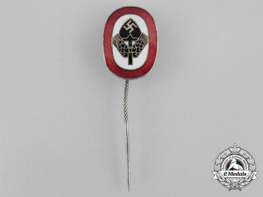 a_third_reich_period(_national_labour_service)_membership_stick_pin_bb_1243