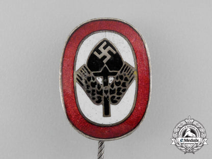 a_third_reich_period(_national_labour_service)_membership_stick_pin_bb_1244