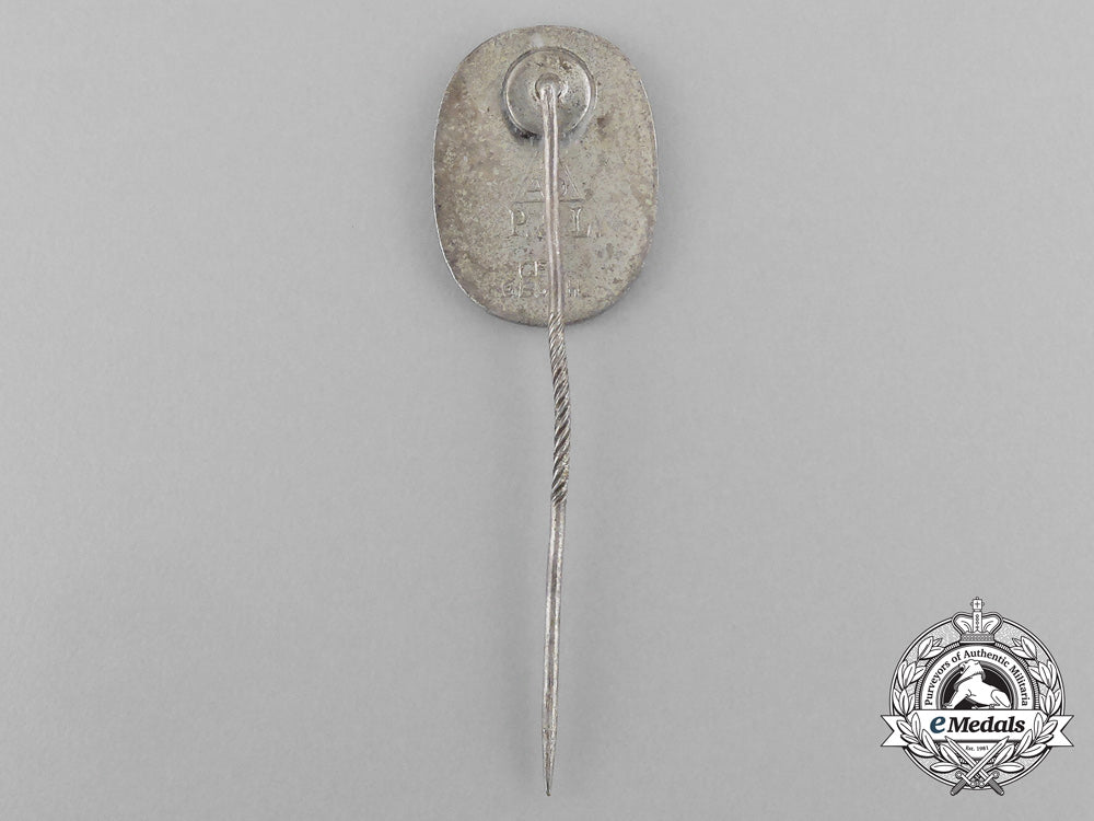 a_third_reich_period(_national_labour_service)_membership_stick_pin_bb_1246