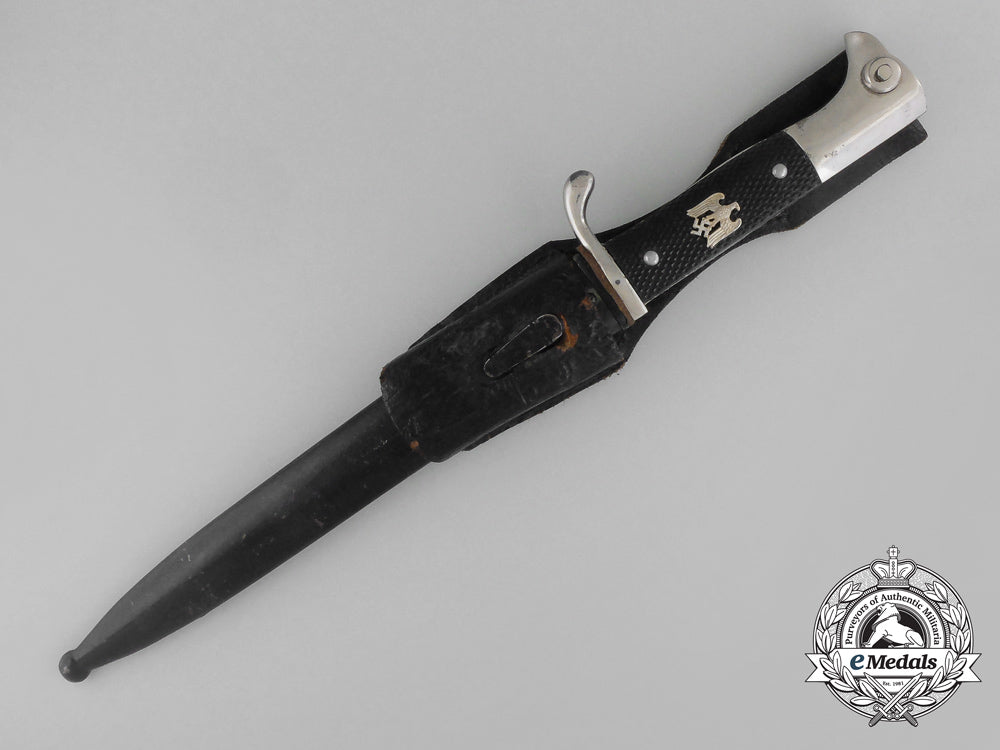 a_heer"_in_memory_of_my_service"_etched_bayonet_by_carl_eickhorn,_solingen_bb_2507
