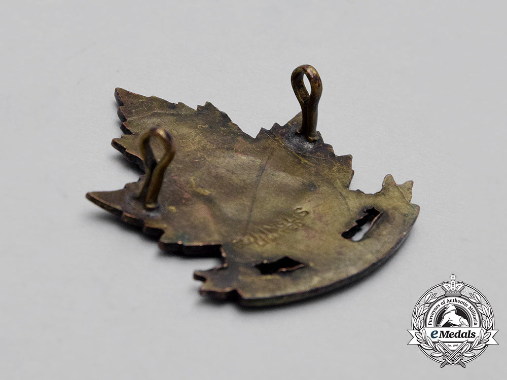 a_first_war45_th_infantry_battalion"_manitoba_regiment"_cap_badge_bb_4300