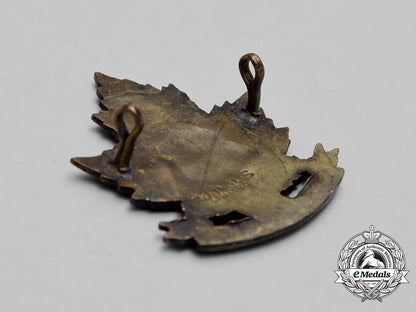 a_first_war45_th_infantry_battalion"_manitoba_regiment"_cap_badge_bb_4300