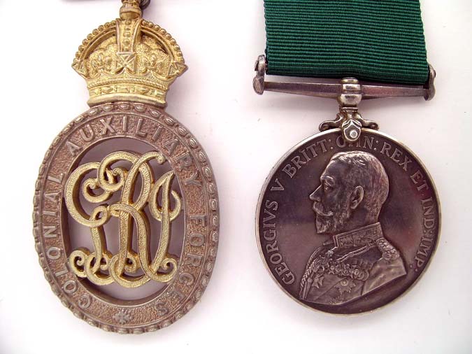 pair:_lieutenant-_colonel_r._a._robertson,_bgr13602