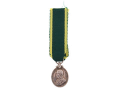 Miniature Territorial Efficiency Medal