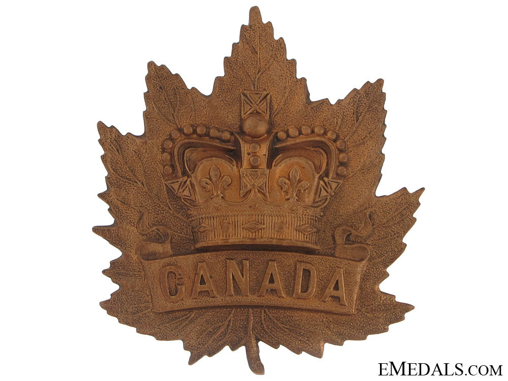 boer_war(_qvc)_general_service_cap_badge_boer_war__qvc__g_5086bfa674489