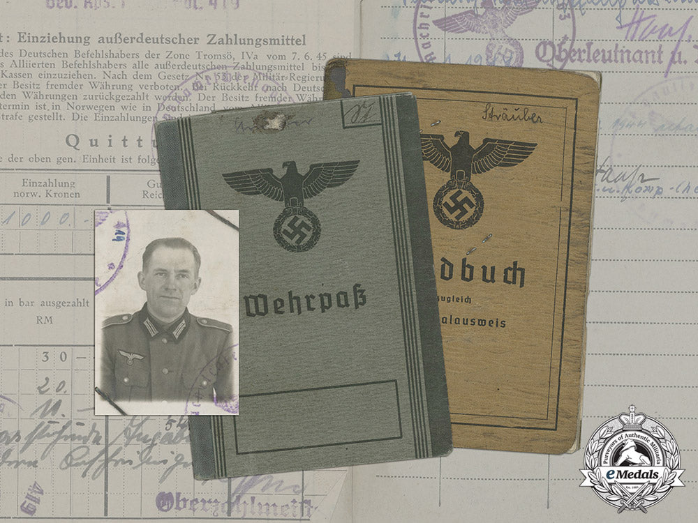 germany._a_wehrpaß,_soldbuch,&_documents_to_obergefreiter_sträuber,_lappland_shield_c17-273_2