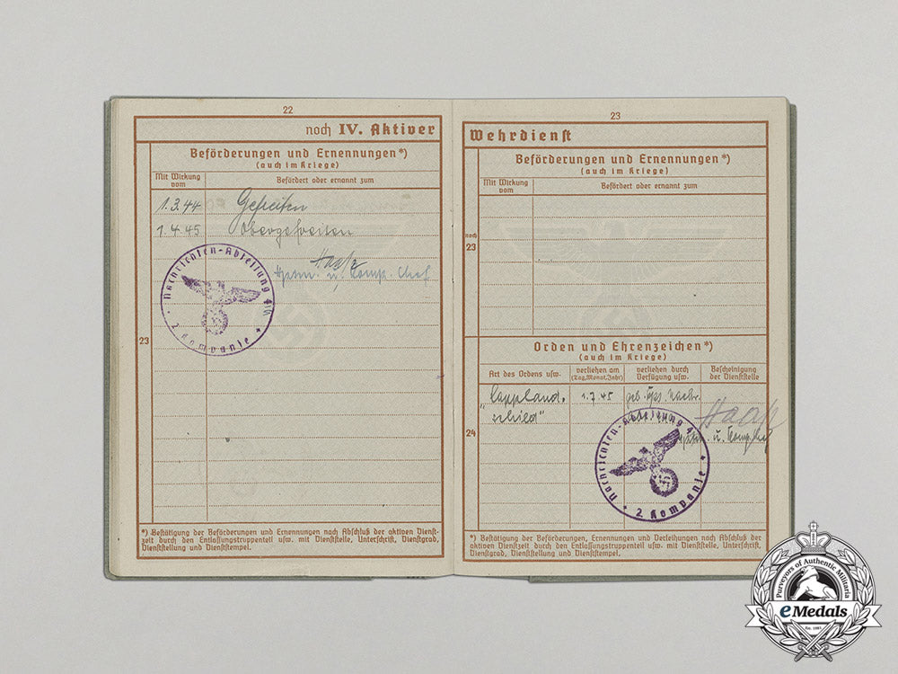 germany._a_wehrpaß,_soldbuch,&_documents_to_obergefreiter_sträuber,_lappland_shield_c17-281_1
