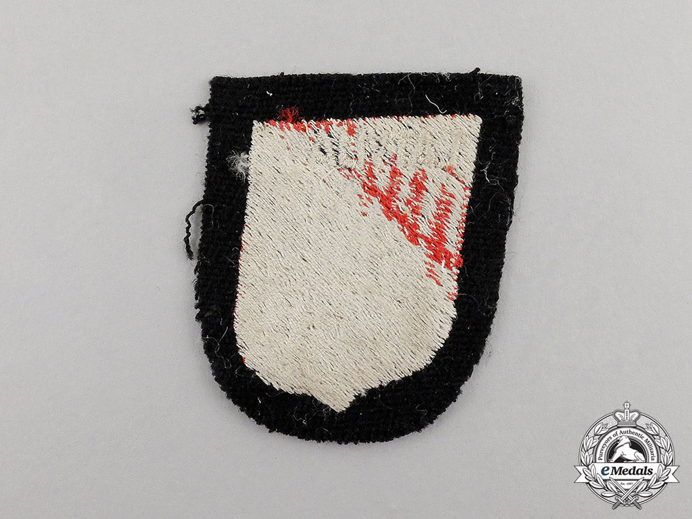 germany._a_waffen-_ss_latvian_foreign_voluteer_sleeve_shield_c17-355_2