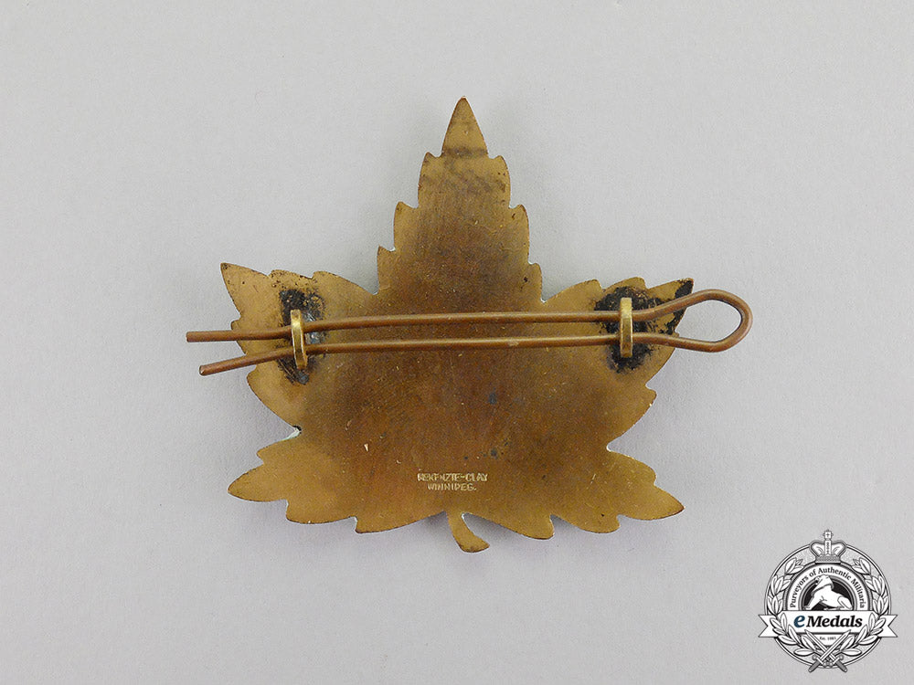 canada._an_rcaf_no.7_air_observer_school_at_portage_la_prairie_instructor's_badge,_very_scarce_c17-3689_1