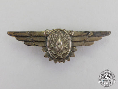 a_united_states_navy_flight_surgeon_badge_c17-3768