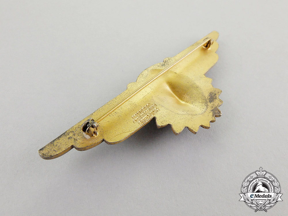 a_united_states_navy_flight_surgeon_badge_c17-3771