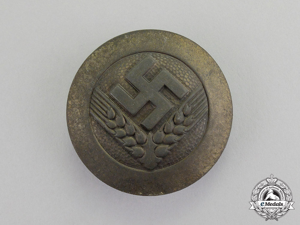 germany._a_radwj(_national_labour_service_of_female_youths)_rank_brooch_c17-4889