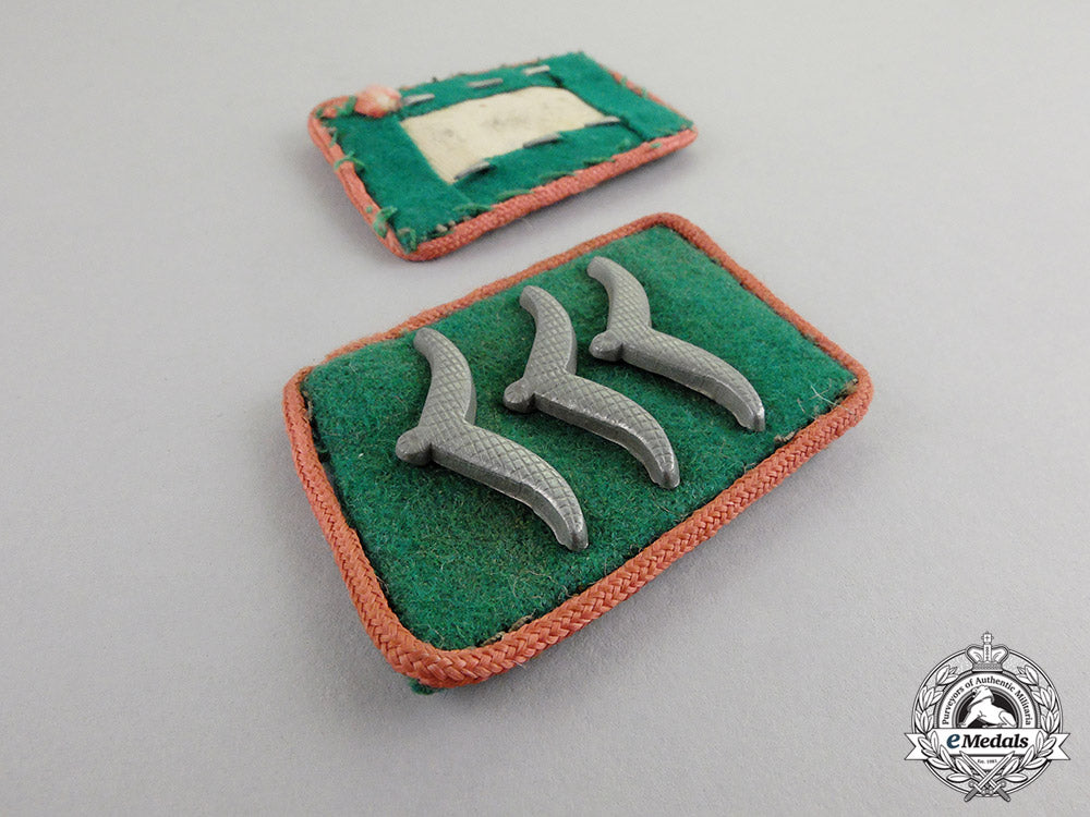 germany._a_complete_set_of_luftwaffe_ground_division_insignia_c17-6547