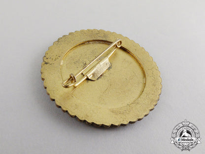 germany._a_mint1943_tirol_pistol_shooting_competion_badge_c17-6589