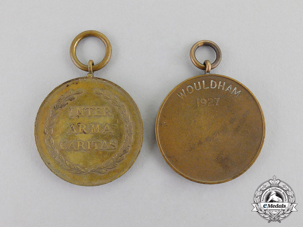 great_britain._a_lot_of_two_british_medals_c17-706_1