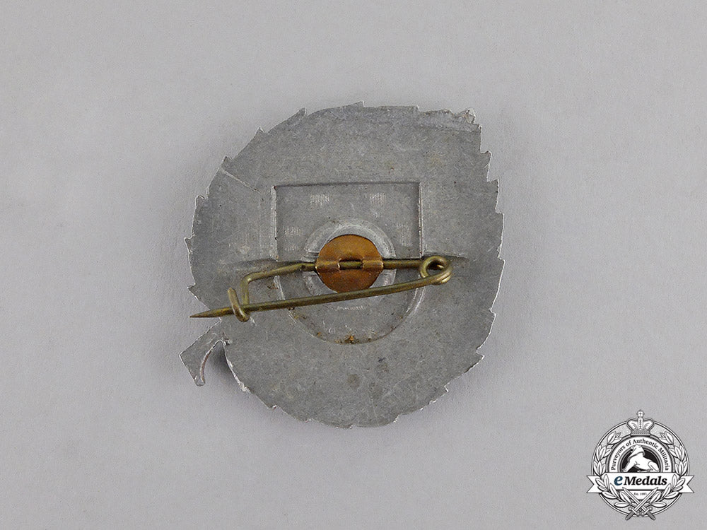 croatia._a_russian_service_badge,_c.1944_c17-7510