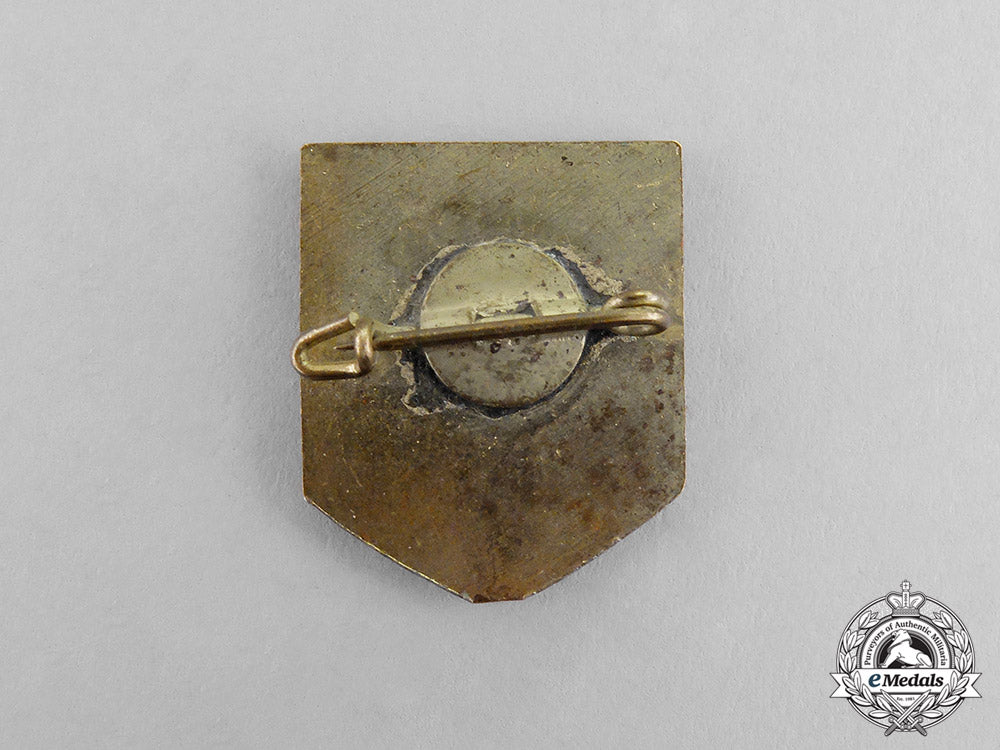 germany._a1944_tiroler_marksmanship_association_membership_badge_c17-8199