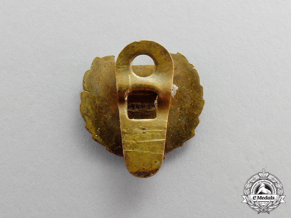 slovakia._a_hlinka_slovak_people's_party_membership_badge_c17-8576
