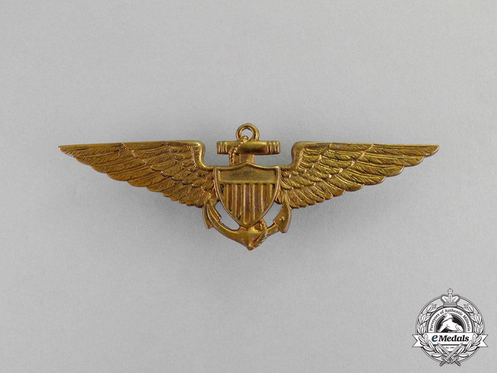 united_states._a_naval_aviation_pilot_wing,_c.1925_w_c17-8839_1