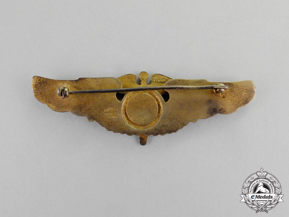 united_states._an_army_air_force(_usaaf)_flight_surgeon_badge,_c.1942_c17-8843