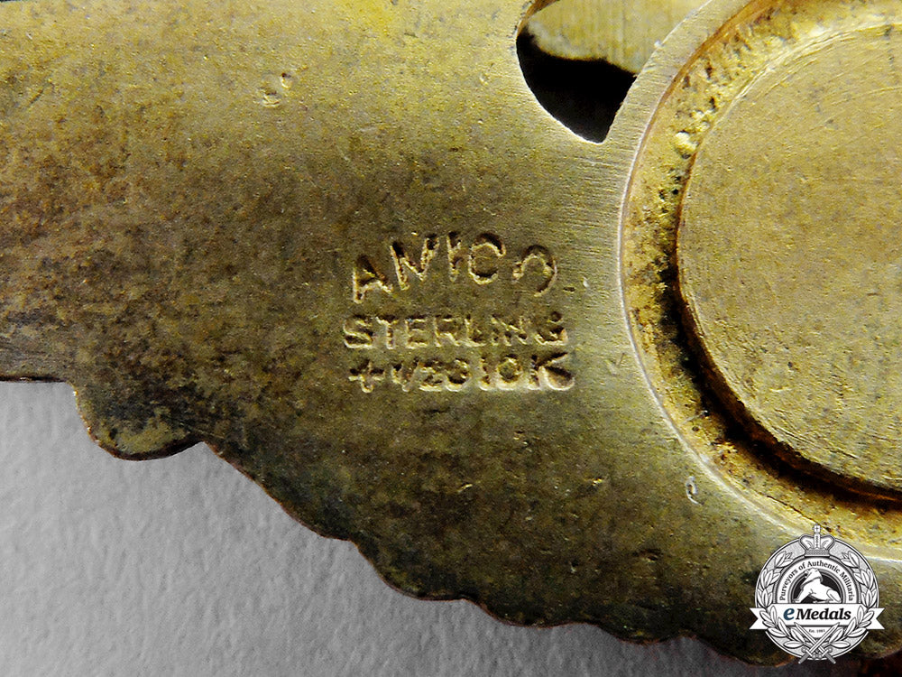 united_states._an_army_air_force(_usaaf)_flight_surgeon_badge,_c.1942_c17-8844