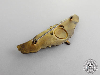 united_states._an_army_air_force(_usaaf)_flight_surgeon_badge,_c.1942_c17-8846