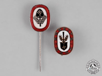 germany._two_rad(_national_labour_service)_stick_pins_and_badges_c18-013557