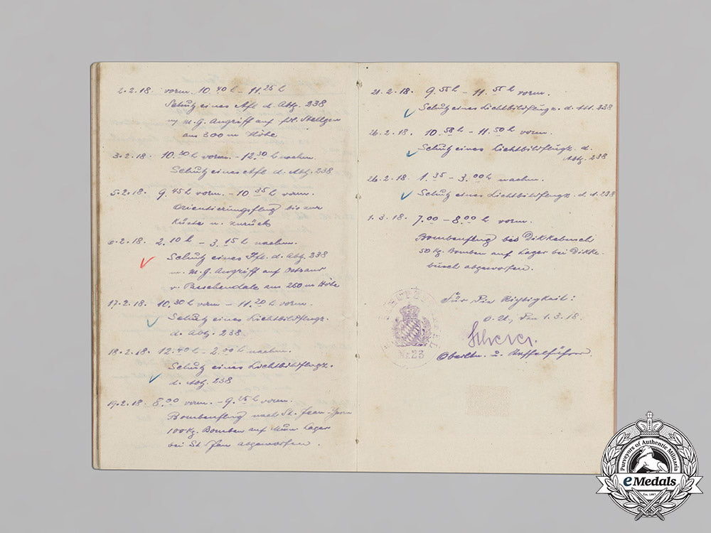 bavaria,_kingdom._the_career_awards,_documents,_and_flight_book_of_pilot_friedrich_geys_c18-014823