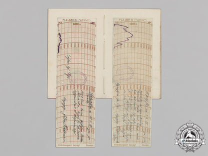 bavaria,_kingdom._the_career_awards,_documents,_and_flight_book_of_pilot_friedrich_geys_c18-014824