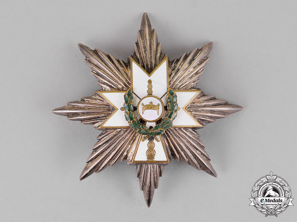 croatia._an_order_of_king_zvonimir's_crown,_first_class_star_c18-015122