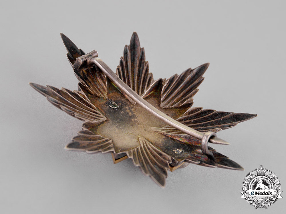 croatia._an_order_of_king_zvonimir's_crown,_first_class_star_c18-015124