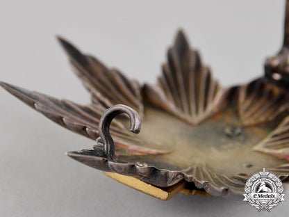 croatia._an_order_of_king_zvonimir's_crown,_first_class_star_c18-015126