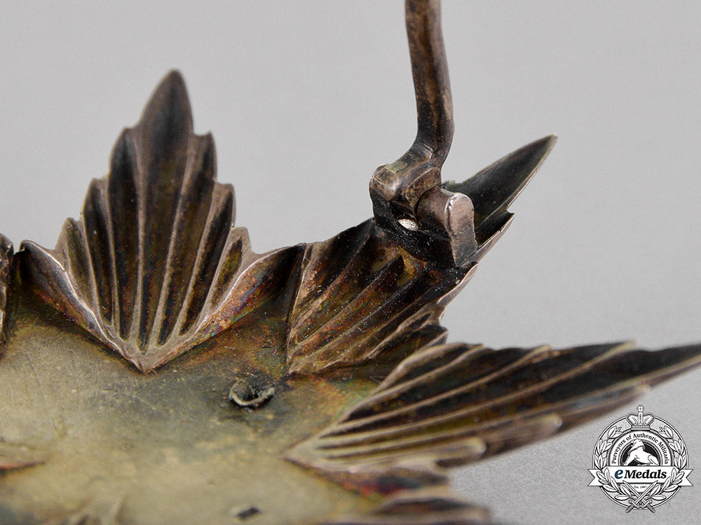 croatia._an_order_of_king_zvonimir's_crown,_first_class_star_c18-015127