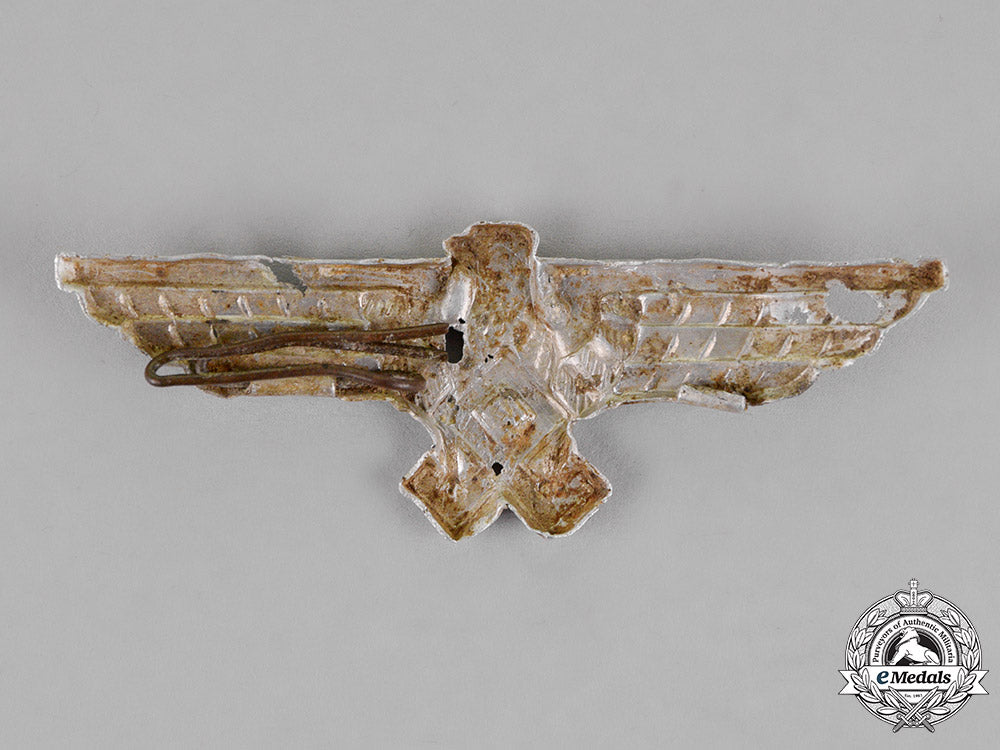 croatia._a_breast_eagle_of_the_german_minority_in_croatia_c18-015153