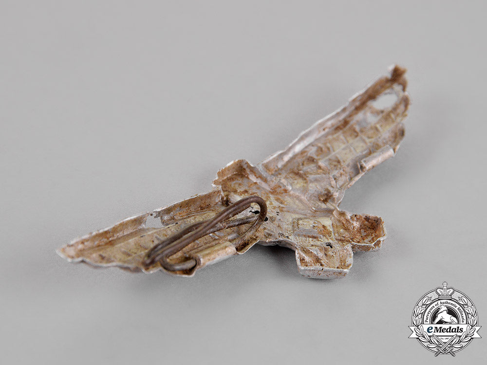 croatia._a_breast_eagle_of_the_german_minority_in_croatia_c18-015155