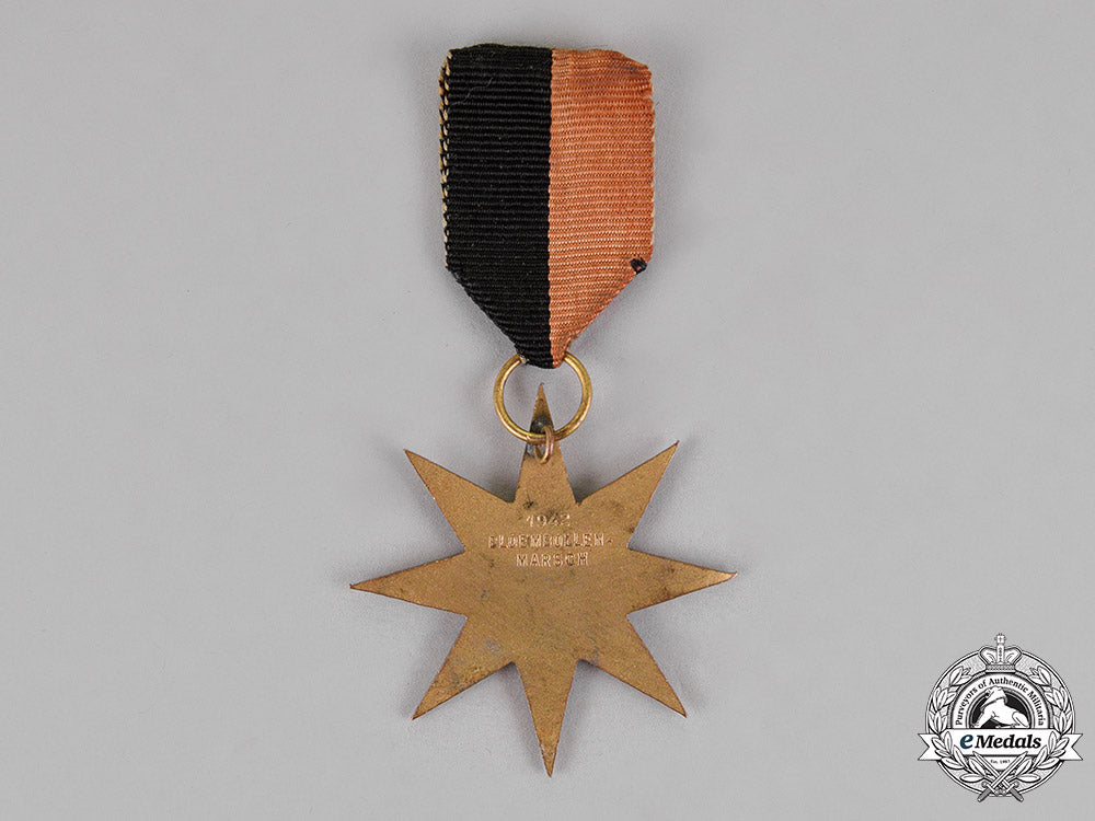 netherlands,_a_national_socialist_movement_in_the_netherlands_merit_star_c18-015396