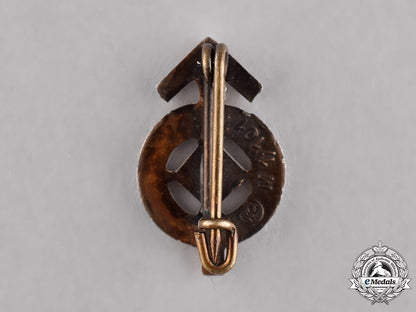 germany._a_hj_proficiency_miniature_badge,_silver_grade,_by_gustav_brehmer_c18-015470