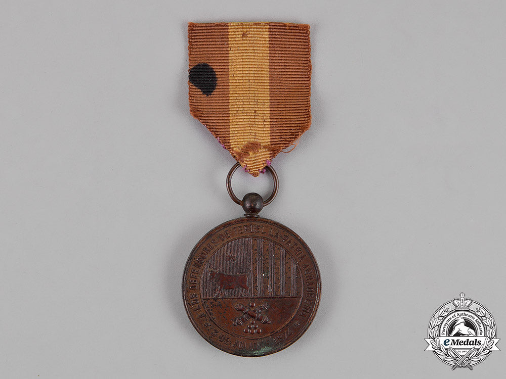 spain,_kingdom._a_medal_for_the_defence_of_teruel1874_c18-016218