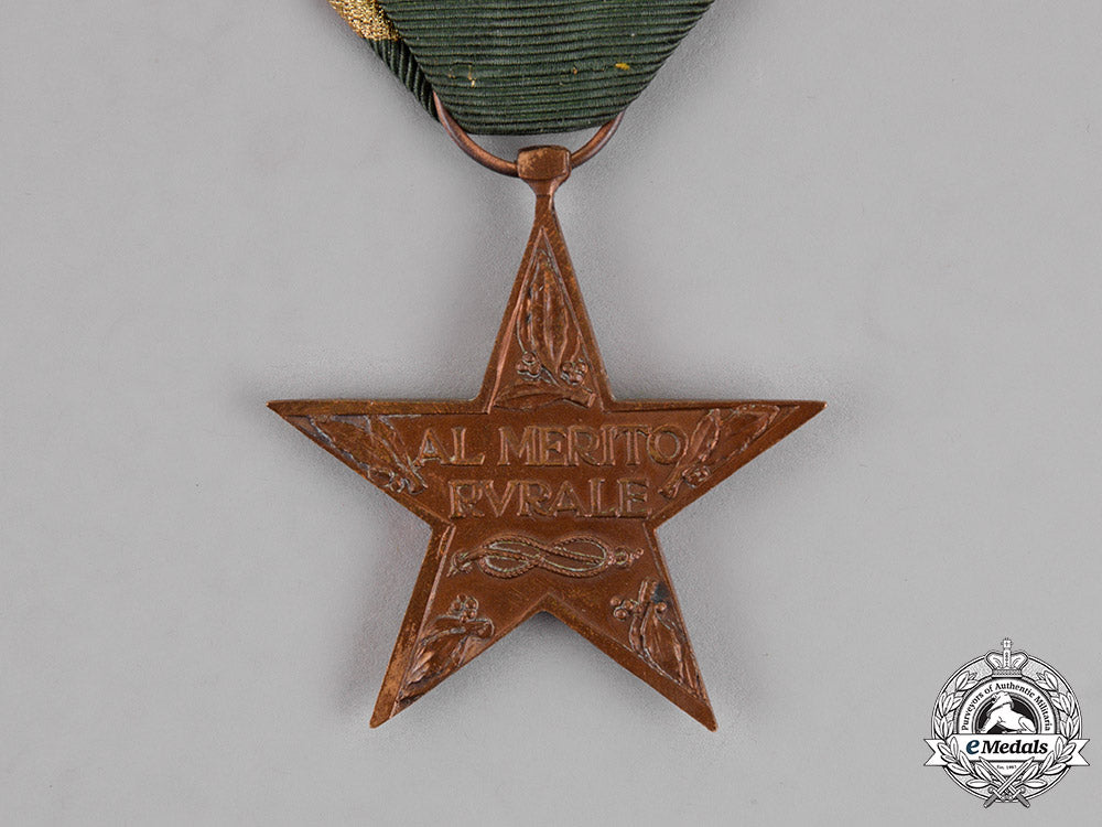 italy,_kingdom._a_star_of_rural_merit,_c.1933_c18-016311_1_1