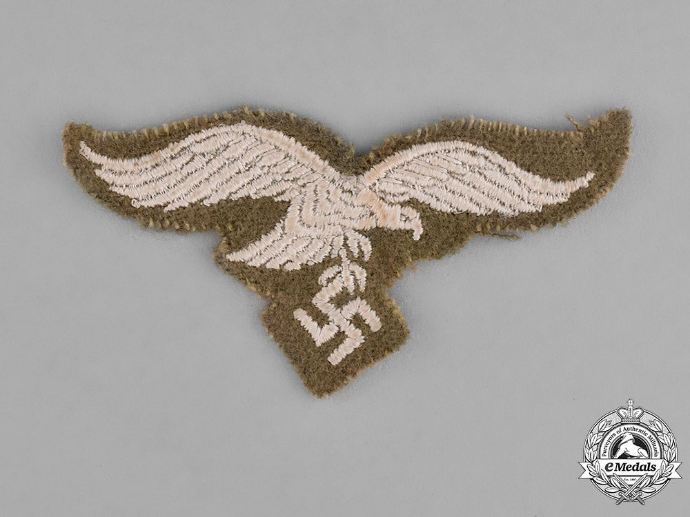 germany._a_cap_eagle_of_the_luftwaffe_transportation_brigade_speer_c18-016835_1