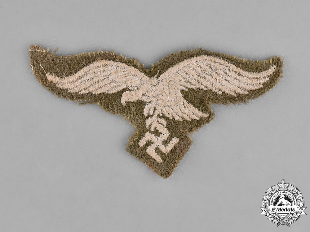 germany._a_cap_eagle_of_the_luftwaffe_transportation_brigade_speer_c18-016836_1