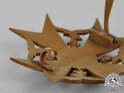 germany,_wehrmacht._a_spanish_cross,_bronze_grade_c18-017694