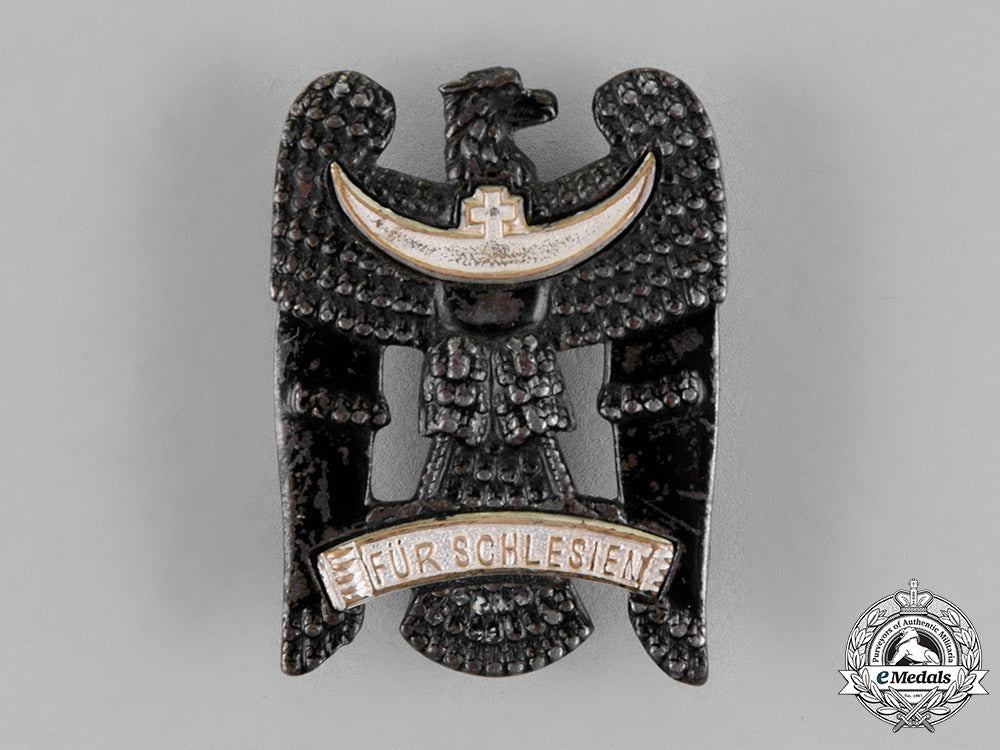 germany._a_freikorps_silesian_eagle,_first_class_c18-018163_1