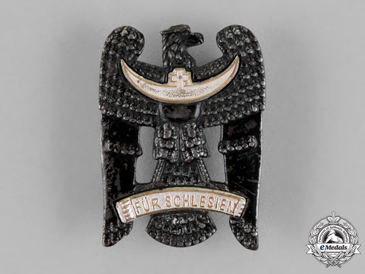 germany._a_freikorps_silesian_eagle,_first_class_c18-018163_1