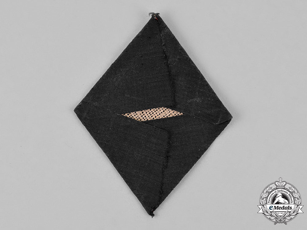 germany._a_political_leader's_sleeve_shield_c18-018631