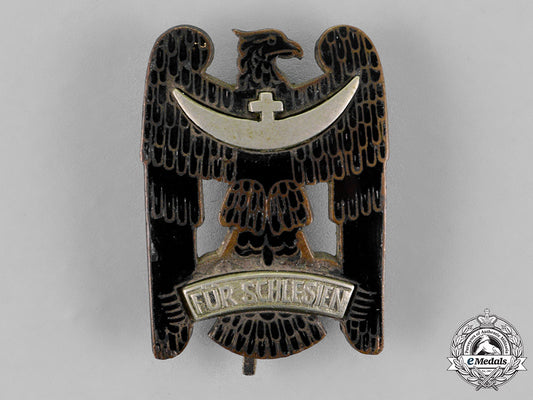 germany,_weimar._a_freikorps_silesian_eagle,_first_class_c18-019506