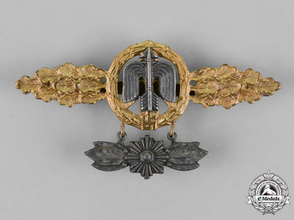 germany,_luftwaffe._a_squadron_clasp_for_short_distance_daytime_fighters,_gold_grade,_with_hanger_c18-019593