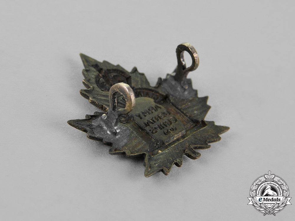 canada._a_canadian_army_dental_corps_insignia_set,_c.1917_c18-019798_1