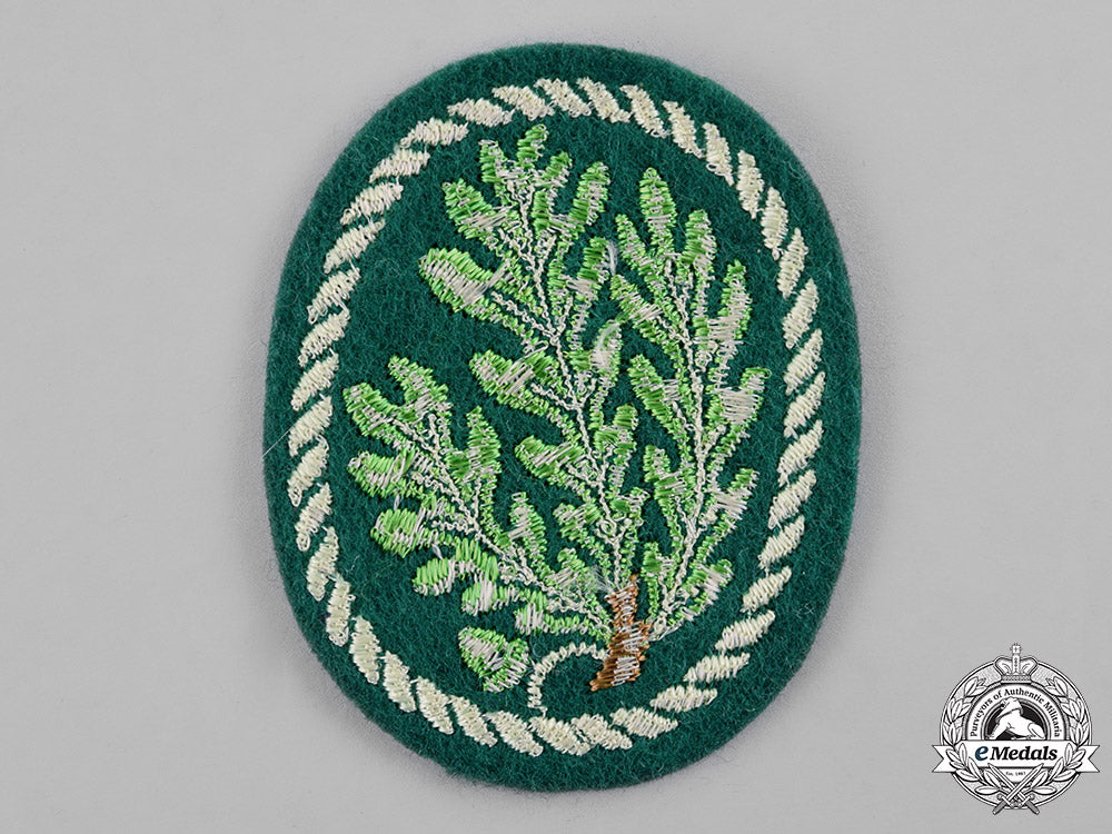 germany,_wehrmacht._a_panzergrenadier_division“_brandenburg”_regimental_patch_c18-020781